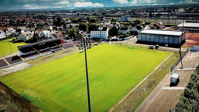 的比赛中 的比赛中