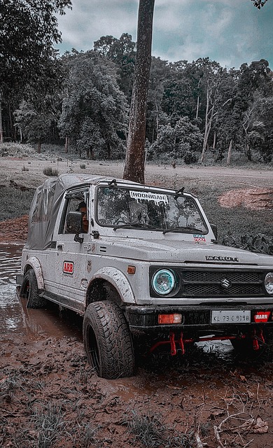 美洲杯亮相 美洲杯亮相