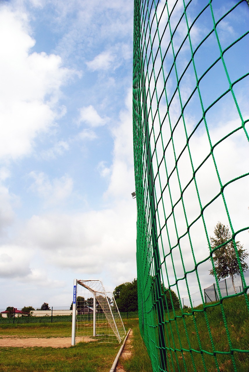 热血沸腾的 热血沸腾的